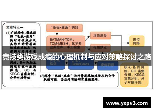 竞技类游戏成瘾的心理机制与应对策略探讨之路