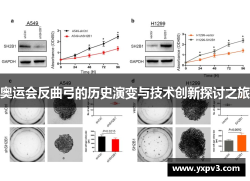 奥运会反曲弓的历史演变与技术创新探讨之旅